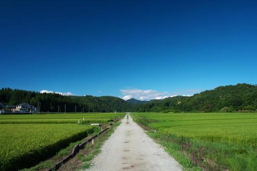 真っすぐな道 真っすぐな道 風景,青空,田舎の写真素材