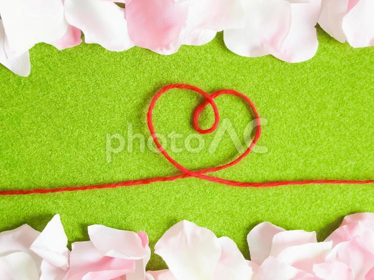 花びらと毛糸のハート ハート,毛糸,花びらの写真素材