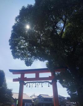 京都 上賀茂神社 景色 風景 鳥居  の写真