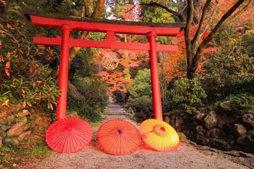 岡寺 岡寺,稲荷社,紅葉の写真素材