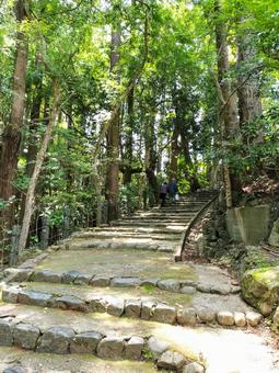 成田山新勝寺 成田山公園の遊歩道と階段 成田山新勝寺 成田山公園の遊歩道と階段 成田山公園,成田山,新勝寺の写真素材