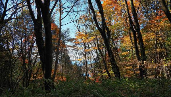 榛名山 紅葉,アウトドア,登山の写真素材