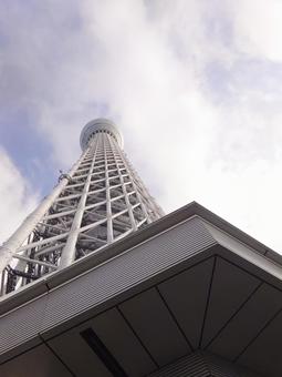スカイツリーを見上げて スカイツリー,東京スカイツリー,空の写真素材