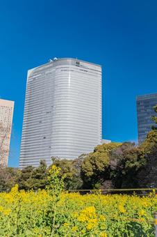東京 浜離宮恩賜庭園の風景 東京 浜離宮恩賜庭園の風景の写真
