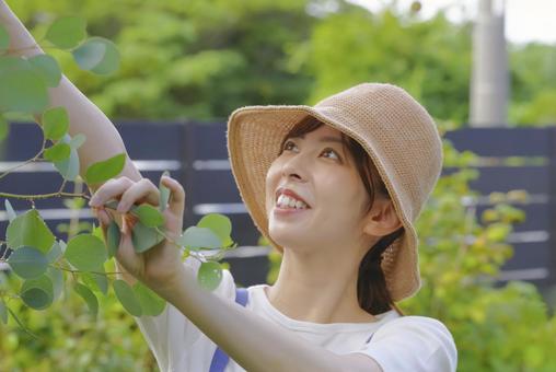 笑顔で庭の植物を手入れする女性 笑顔で庭の植物を手入れする女性 ガーデニング,園芸,庭づくりの写真素材