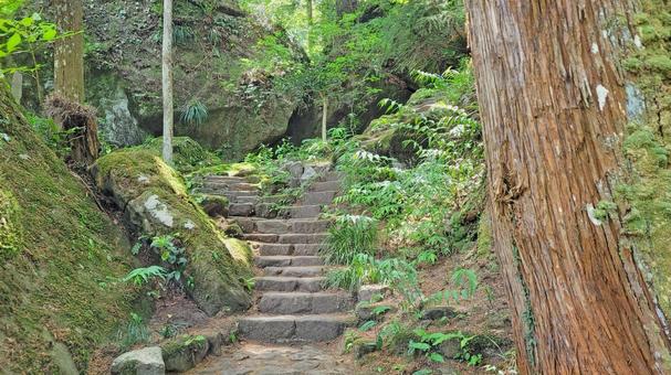 秩父34観音 32番 法性寺 山中の参道 秩父34観音 32番 法性寺 山中の参道の写真