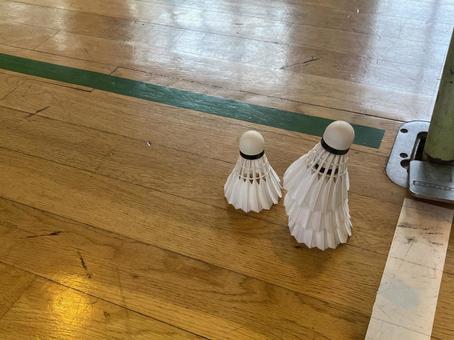 バドミントン シャトルコック バドミントン シャトルコック バトミントン,シャトル,スポーツの写真素材