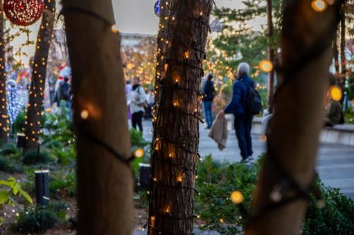 クリスマスのイルミネーション クリスマス,イルミネーション,ライトアップの写真素材