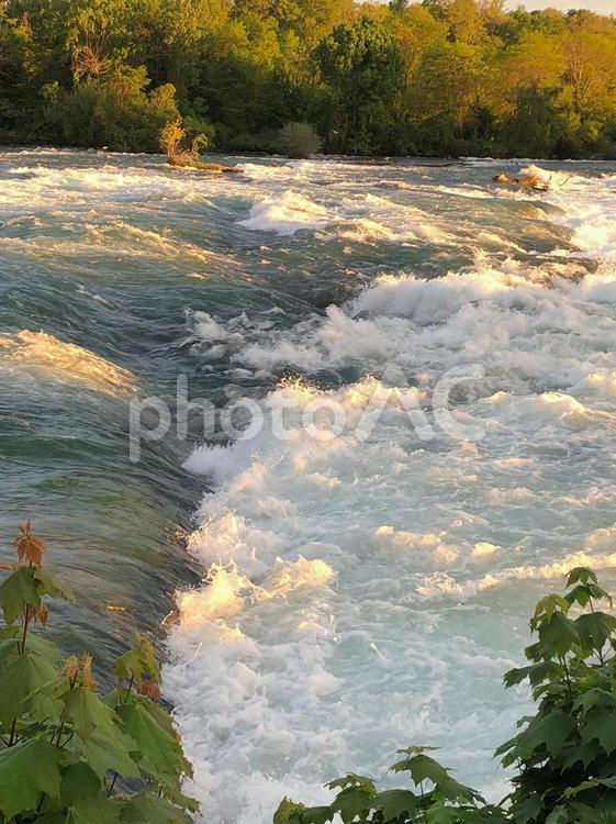 ナイアガラの滝 ナイアガラの滝,niagarafalls,ナイアガラの写真素材