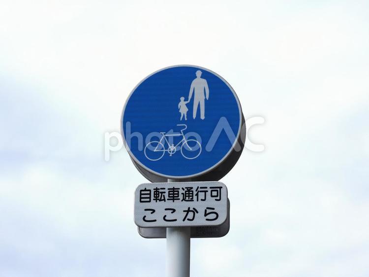 道路標識　自転車通行可 道路標識,自転車通行可,標識の写真素材