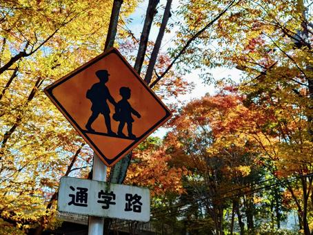 通学路標識、秋 通学路,標識,秋の写真素材