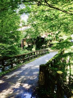 箕面公園 箕面公園の写真