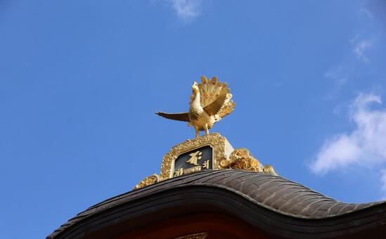 金の鳳凰 金の鳳凰,金の鳥,神社の写真素材