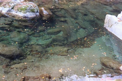 海岸の海の水のきれいな潮だまり 海岸,海,水の写真素材