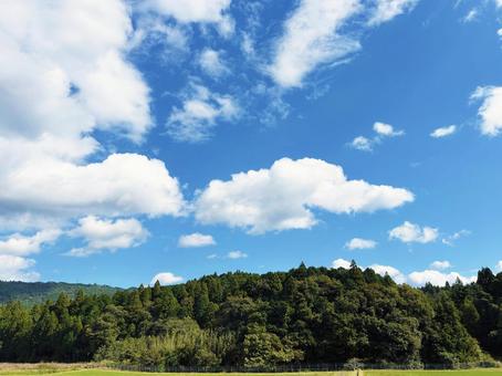 穏やかな青空と森林の木々 空模様,空,雲の写真素材