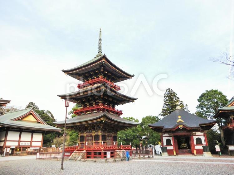 成田山新勝寺の三重塔 成田山新勝寺,境内,三重塔の写真素材