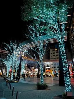 イルミネーション イルミネーション イルミネーション,夜景,冬の写真素材