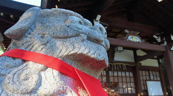 多奈波太神社　狛犬 多奈波太神社,天道,七夕の写真素材