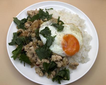 ガパオライス 男飯 ガパオライス 男飯 ガパオ,ライス,アジアの写真素材