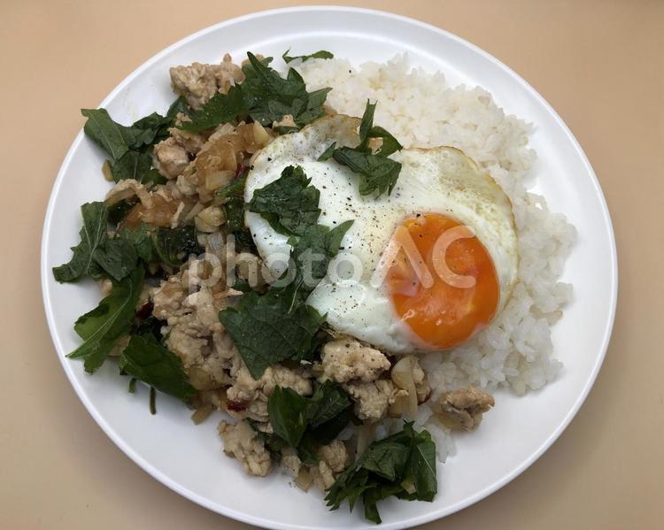 ガパオライス　男飯 ガパオ,ライス,アジアの写真素材