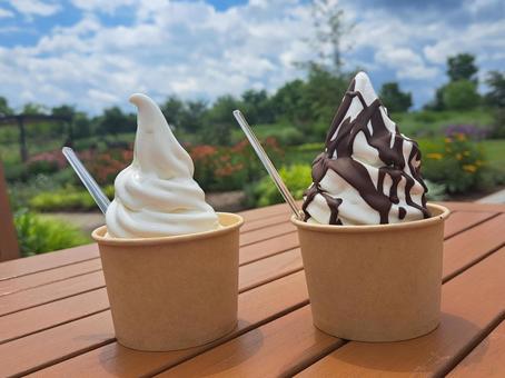 夏休み 夏休み 夏,夏休み,ソフトクリームの写真素材