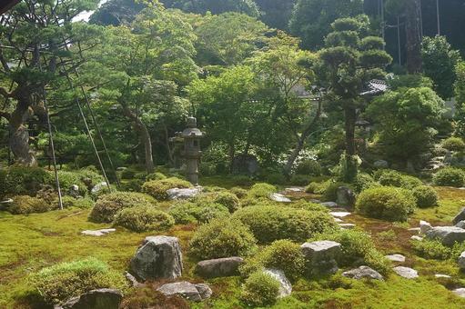 大阪府-金剛寺-本坊-枯山水庭園 大阪府-金剛寺-本坊-枯山水庭園の写真
