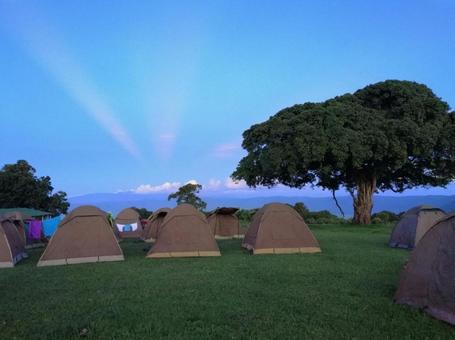 草原のキャンプサイト キャンプ,テント,アフリカの写真素材