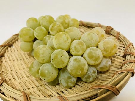 ぶどう2 ぶどう2 ぶどう,果物,食の写真素材