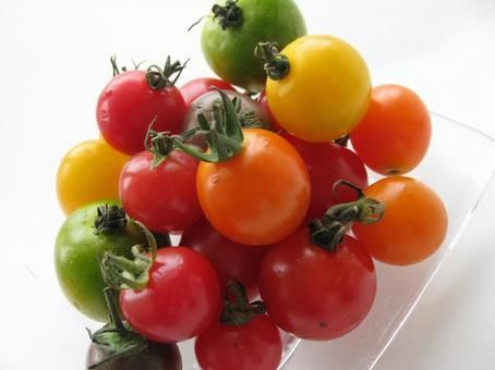 ミニトマト 野菜 ミニトマト 野菜 ミニトマト,野菜,スイーツトマトの写真素材