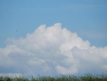 【空の写真】夏空 【空の写真】夏空の写真