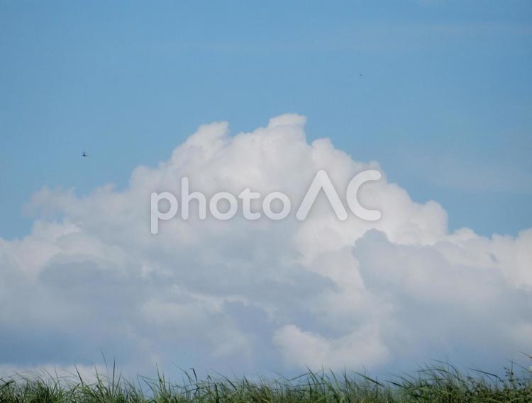 【空の写真】夏空 夏空,空,雲の写真素材