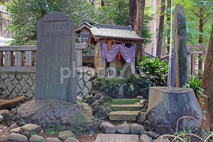 氷川町氷川神社（板橋） 氷川町氷川神社,素戔男命,稲田姫命の写真素材