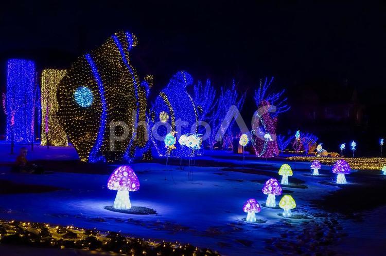 中国大連の美しい夜景 中国,大連,遼寧省の写真素材