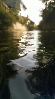 水面 水面の写真