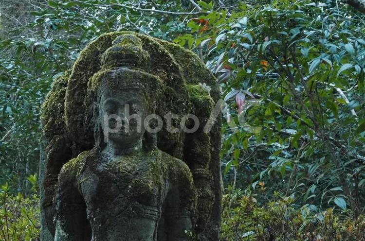 石仏に苔が覆ってる 古い,石仏,風景の写真素材