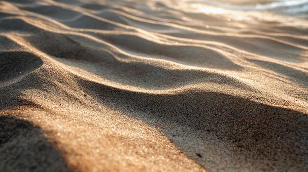 夕日に輝く黄金色の砂浜の写真
