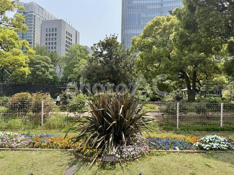 日比谷公園　春の第一花壇 霞ヶ関,千代田区,都会の写真素材
