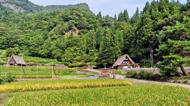 田舎 田舎の写真