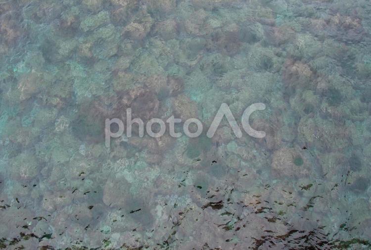 橋から見える海の底 海,海底,水の写真素材
