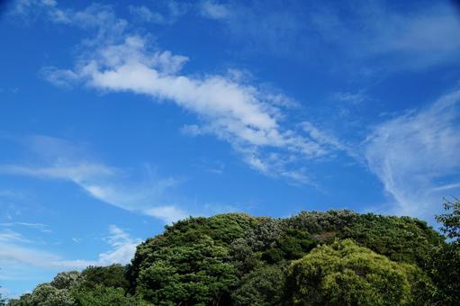 晴れた日の空 晴れた日の空の写真