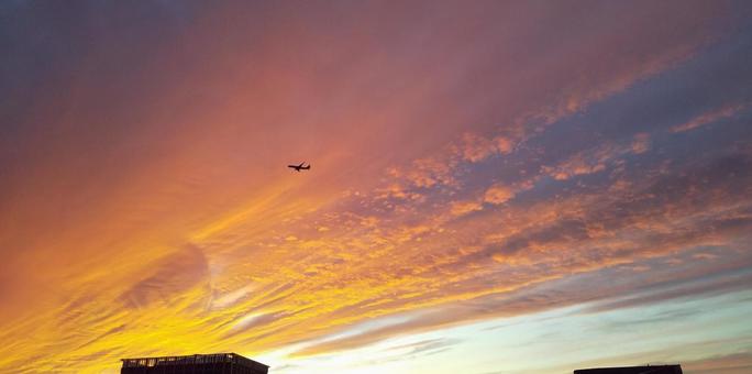 オレンジフライト（東京霜月夕景） 夕焼け,空,風景の写真素材