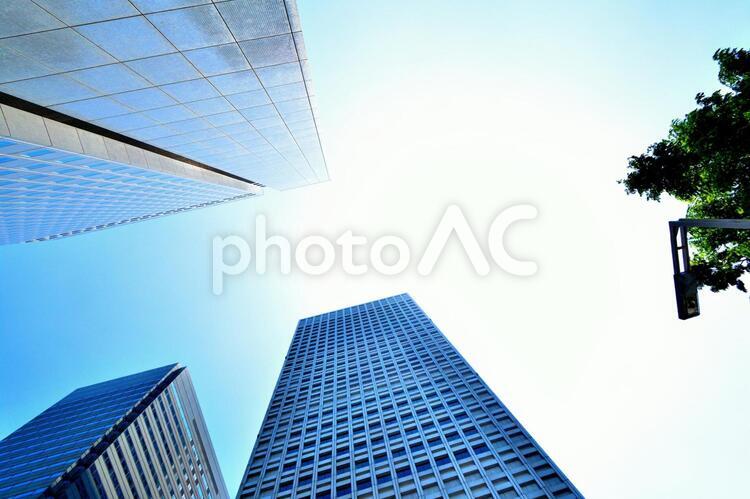 ビルと青空と樹木　都会と青空　快晴　晴れ 大都会,ビル,青空の写真素材