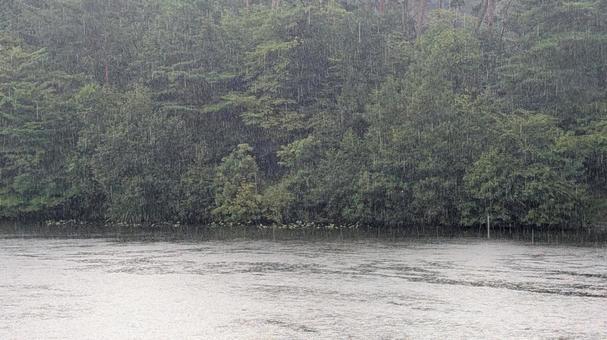 雨が降る森と水面に落ちる雨粒の様子 雨が降る森と水面に落ちる雨粒の様子 雨,雨の日,雨粒の写真素材