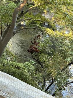 池 池 池,自然,風景の写真素材