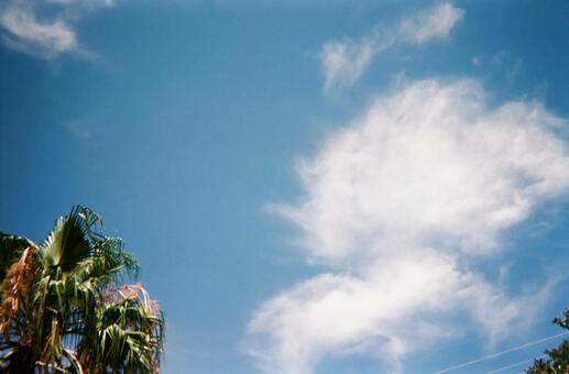 空 空の写真