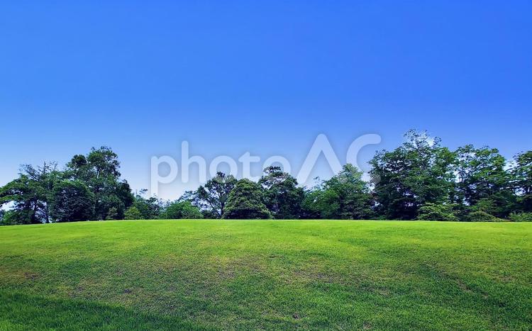 初夏の風景/新緑・芝生広場 初夏,広場,芝生の写真素材
