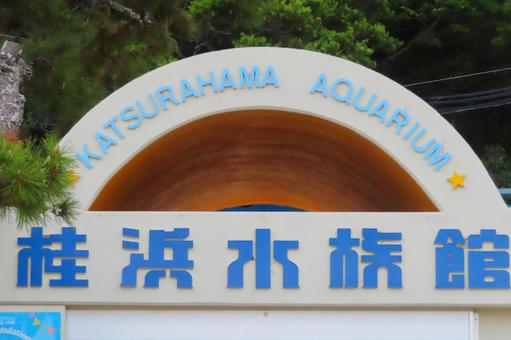 【高知県】桂浜水族館 【高知県】桂浜水族館 水族館,桂浜水族館,建物の写真素材