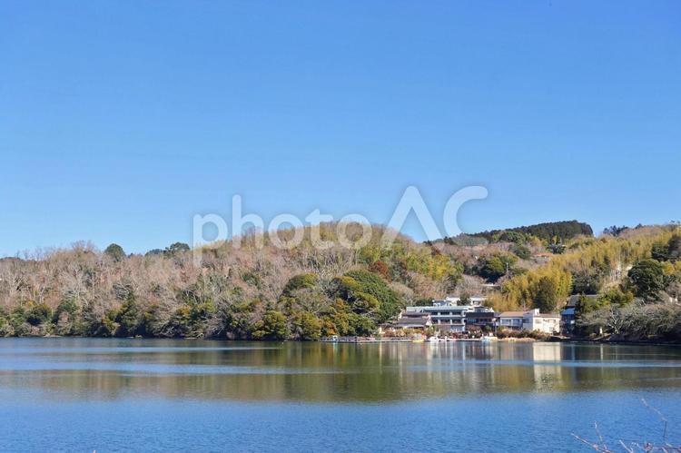 桜の開花はまだか、春めく一碧湖 早春,春先,春めくの写真素材