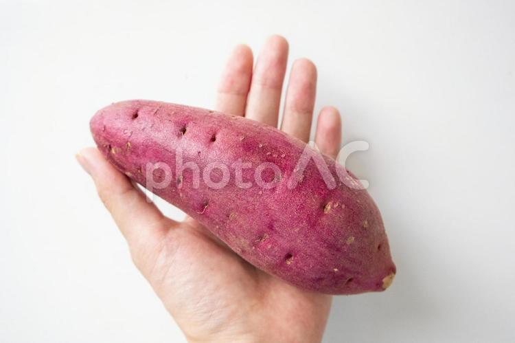 手をもつさつまいも さつまいも,さつま芋,食べ物の写真素材