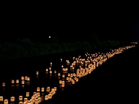 永平寺町大灯籠流しの一幕 灯籠,灯ろう,ろうそくの写真素材